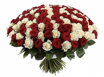 Купить оптом цветы севастополь пугачев доставка цветов на дом
